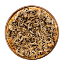 Mantar Rüyası (Büyük Boy) 30cm 2 Kişilik Mantar Rüyası (Büyük Boy) 30cm 2 Kişilik